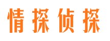 禅城市婚姻出轨调查